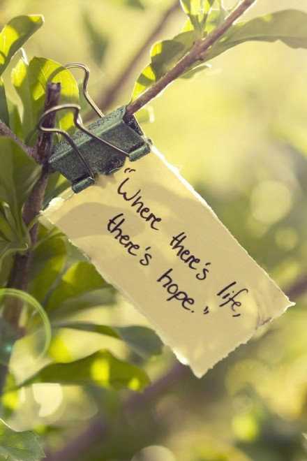 人，最好的心态是平静；最好的状态是简单；最好的感觉是自由；最好的心情是童心。