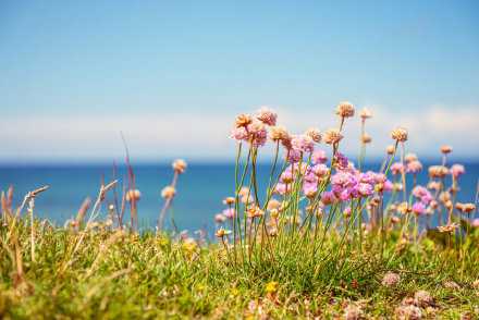 往后余生，告诉自己，得也开心，失也淡定。看淡生命中发生的每一件事，沉默安静，浅笑安然。