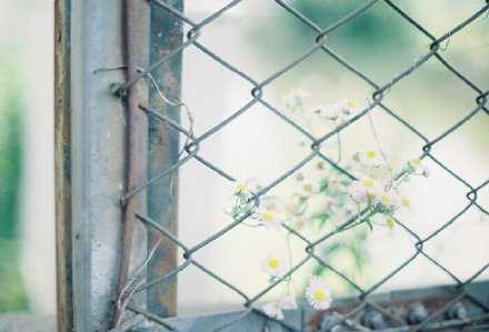 时光知味，岁月沉香。早安。