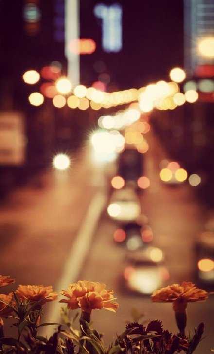 “等你睡了我再睡” 很久没有听过这句话了 晚安