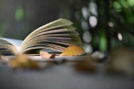 所有的时间管理背后，是良好的习惯，而良好习惯养成的背后，是惊人的意志力。