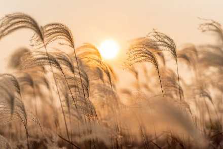 不尽如人意，并非失败，而是，另一种，迟来的馈赠，庆幸当初，多么曲折难堪，才有了后来，坚韧不拔！