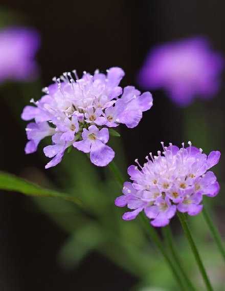 疯就疯吧，笨就笨吧，怪就怪吧，想怎么样就怎么样。生命短暂，快乐至上，输什么也不能输了心情。早安。