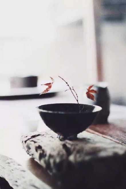 中年的妙趣，在于相当的认识人生，认识自己，从而做自己所能做的事，享受自己所能享受的生活。