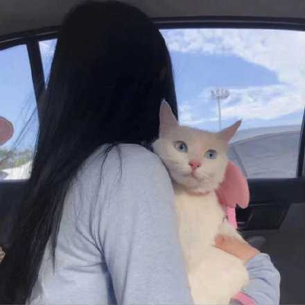 任何情绪都对今日已发生的事于事无补 停止纠结 放松睡觉 明天还可努力 明天争取做好