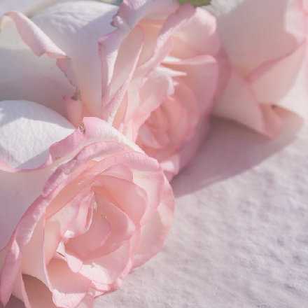 把烦心事丢掉 腾出地方装鲜花