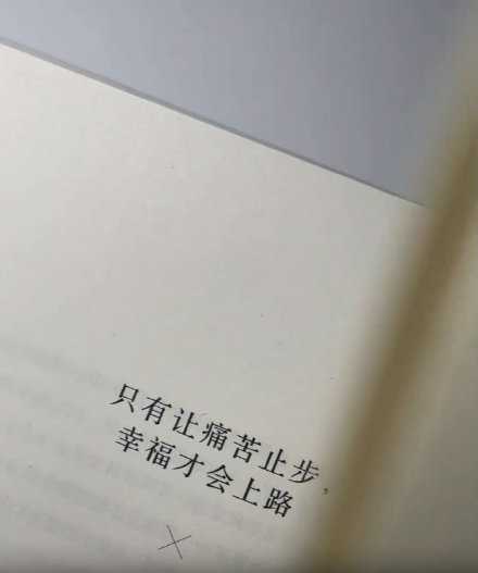 请停止胡思乱想