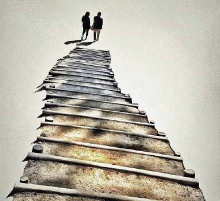 婚姻是一种合作。是经济上的共享，责任上的分担，风险上的同负。