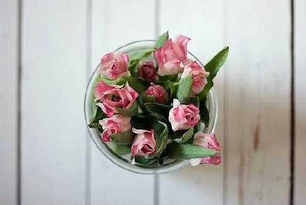 从容不迫的举止 比起咄咄逼人的态度 更能令人心折