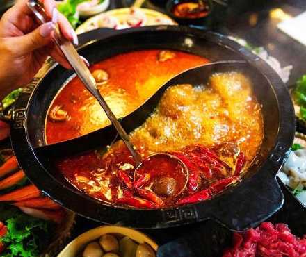 太阳出来就觉得很有希望，可以踩着落叶吃糖炒板栗，穿得胖乎乎也很可爱，还有火锅和暖暖的被窝，没有什么是过不去的，冬天再寒冷和难熬，也依旧有很多冬日乐趣。