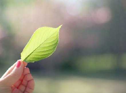 苦闷的来源，即在于心地不单纯。早安。