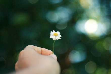 你可以爱一个人到尘埃里，但没有人爱尘埃里的你。