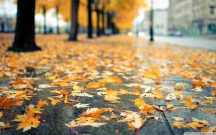 我们一步步走下去，踏踏实实的去走，永不抗拒生命给我们的重负，才是一个勇者。