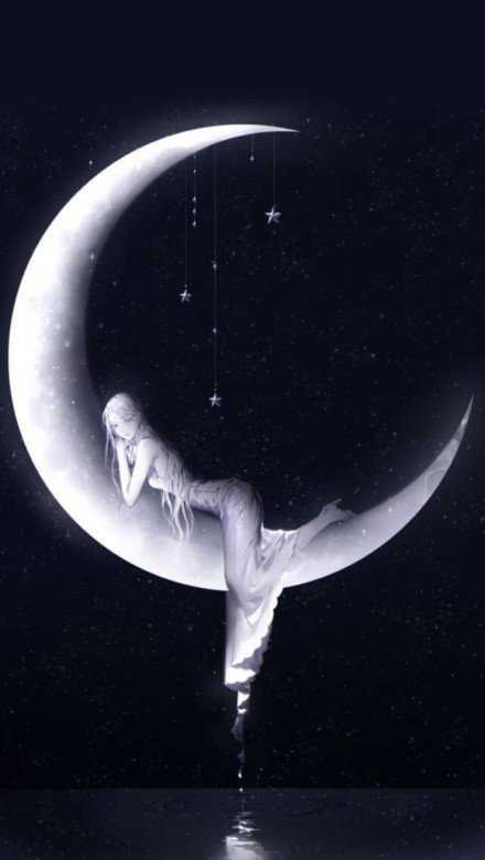 每天明明都无聊至极 却每次都熬到深夜 晚安