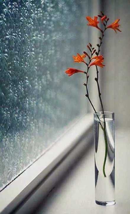 终有一天，你会静心下来，像个局外人一样看自己的故事，笑着摇摇头。