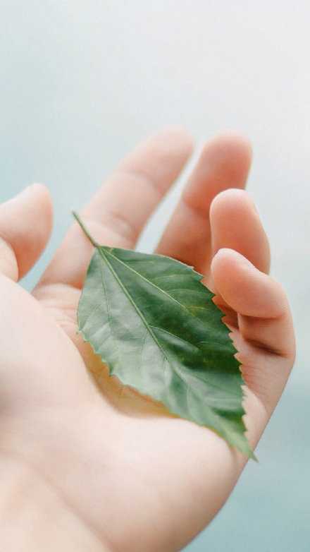 永远不要拿年龄当放弃追求美好的借口。对于一些人来说，最美好的年纪就是此时此刻。