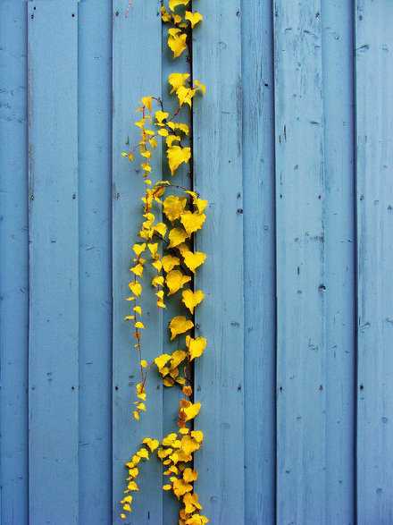 生活经得起平静，方显淡泊宁静的真实。爱情经得起流年，平淡之中的携手，才幸福珍贵。