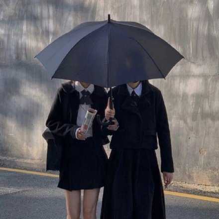 会有人想把浪漫 鲜花 日落收集起来都分享给你