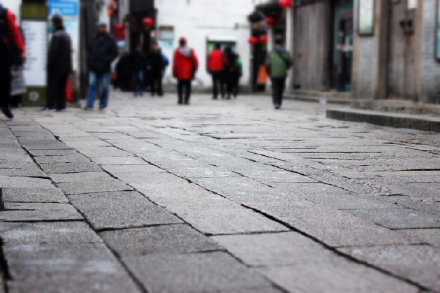 忙，却似乎也没忙出什么结果，时间被碾得如此之碎，一阵风吹过，稀里哗啦全都不知去向，以至于我试图回想这一年到底干了些什么时，发现自己简直是从一场昏迷中醒来。