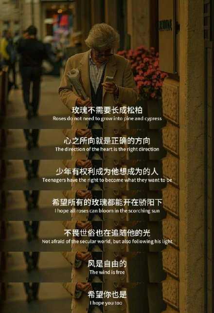 玫瑰不需要长成松柏。