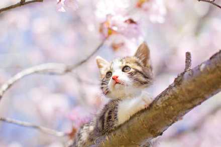 有些事心里清楚就好，不必去验证，时间，自会给答案， 明白怎么做，如何取舍，足矣， 善良的人，始终仁慈，反之，无底线， 经历过失望，见识过无常，来去之间，冷暖自知， 没有，永恒的亲密无间，没有，永远的单向奔赴， 成为更好的自己，看聚散冥冥，且珍惜！