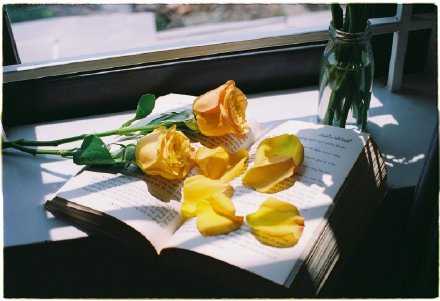 最暖不过是，陪在值得的人身边一年又一年。