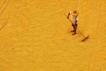 让生活，尽可能简单。喜欢就争取，得到就珍惜，错过就遗忘。有人，越活越通透，有人，越过越糊涂，通透，并非全然好事，因为心装百川，糊涂，未必就是坏事，因为天真还在。往前走，让生命更开阔，更轻盈自在！