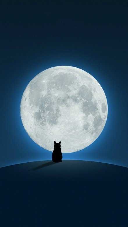 陪你晚睡的人 一定很爱你