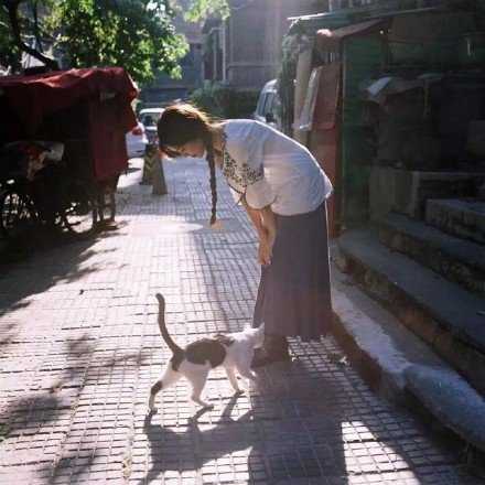 太阳也只暖人而不暖心