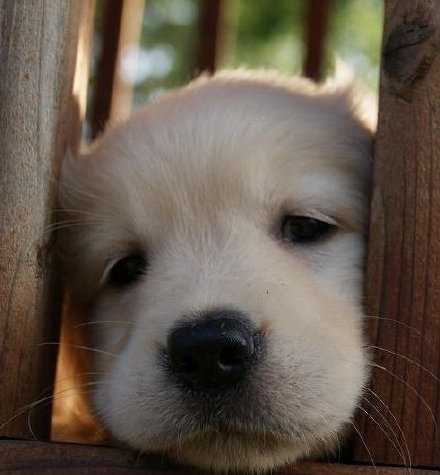 人到了一定年纪，能明白的事情，已经看透了。看不明白的事情，已经不强求自己去理解它了。