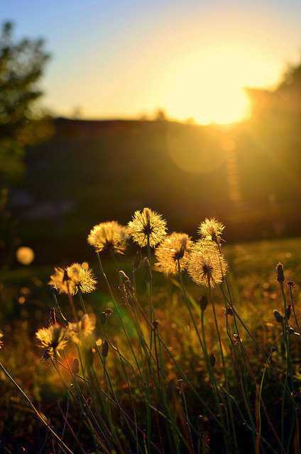 蓝天下便是阳光，艰苦后便是甘甜，失败了就当经验，成功时便是灿烂。早安。