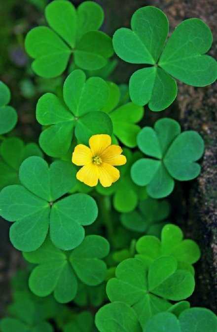 “生活每天都是全新的”，偏偏这种感觉很少被人真实地拥有。这明明是生活的真相，却很少有人相信它是真的。早安。