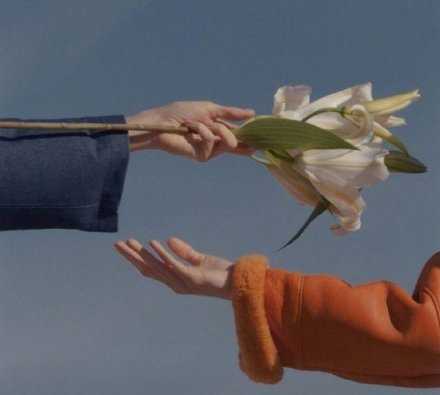 2026年希望你能拥有3样东西：简单的陪伴 无条件的信任 看得见的在乎