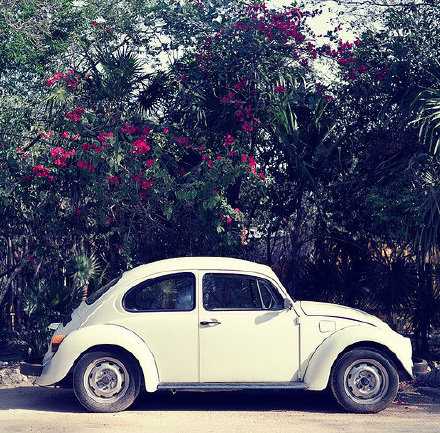 我们不欠这个世界什么，唯一要做的就是好好活着。