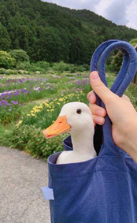 总是得有人负责平庸，才能有机会让一些人负责优秀。