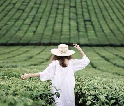 正确地活着，每个阶段都会带给你更好的自己。成长不是单纯地为了脱单，而是让自己有力量去体验任何可能。