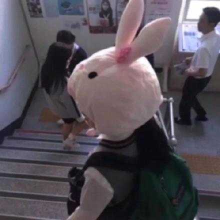 我无法处理我的情绪 所以我藏起它们